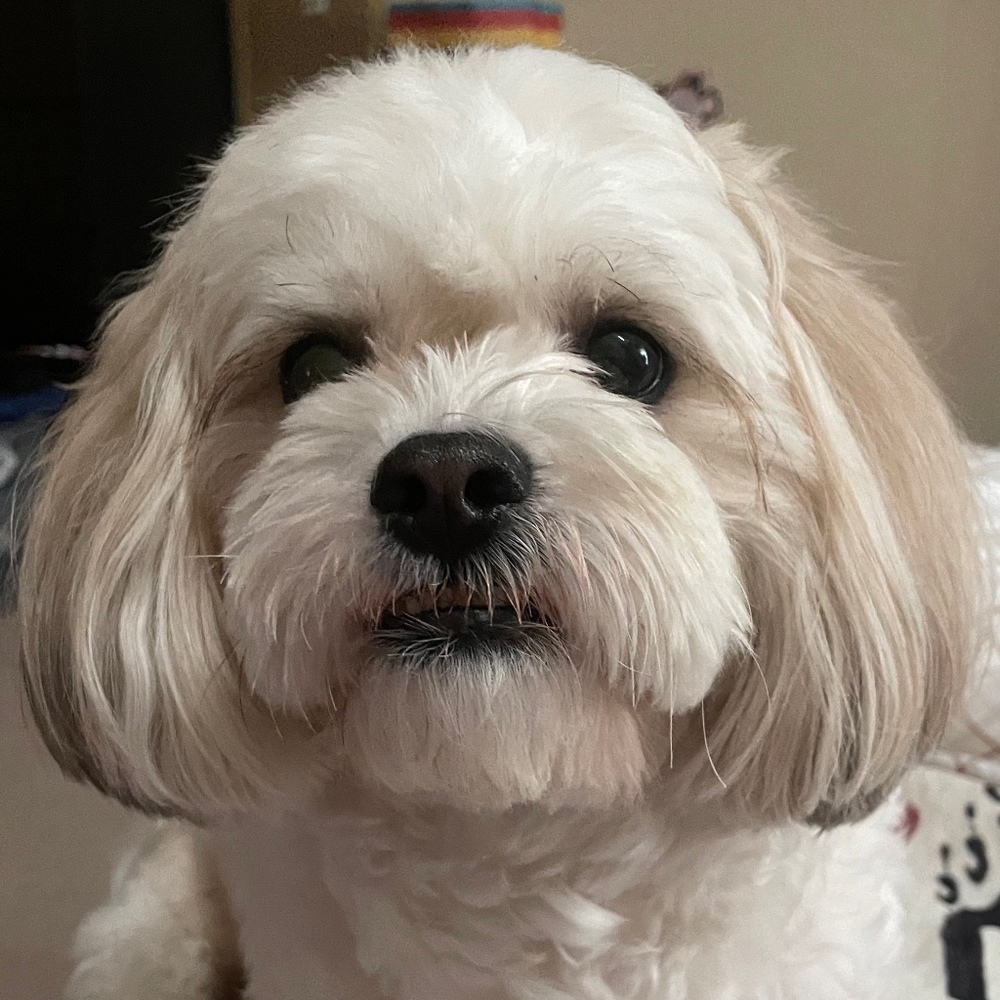 Meet your Posher, Jocelyn